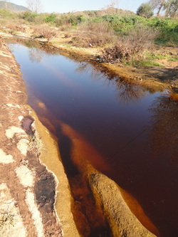 Υγρά απόβλητα ελαιουργίας (κατσίγαρος) ανεξέλεγκτα πεταμένα σε ρέμα κοντά σε ελαιουργείο.